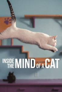 ดูหนัง Inside the Mind of a Cat (2022) คิดแบบแมวๆ netflix
